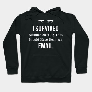 I Survived Another Meeting That Should Have Been An Email Hoodie